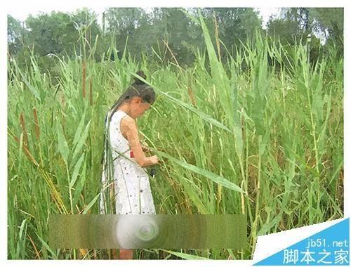 FotoSketcher漂亮的图片怎么绘制成油画效果?