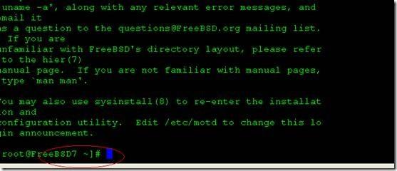 FreeBSD如何添加硬盘?FreeBSD添加硬盘的方法