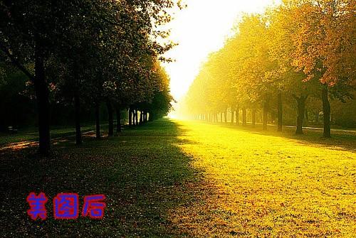 告别暗淡 美图秀秀让风景照焕发强烈色感.