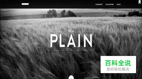 高对比度的黑白网页设计欣赏