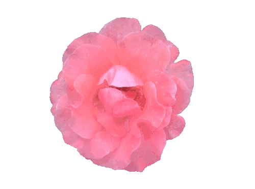 GIMP 下使用前景选择工具实现抠图