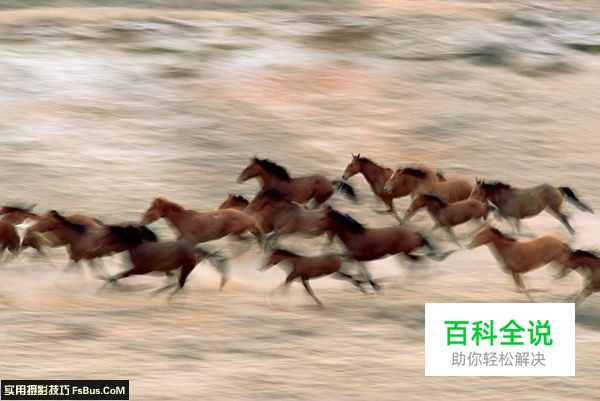 国家地理摄影师教你如何掌握曝光时间