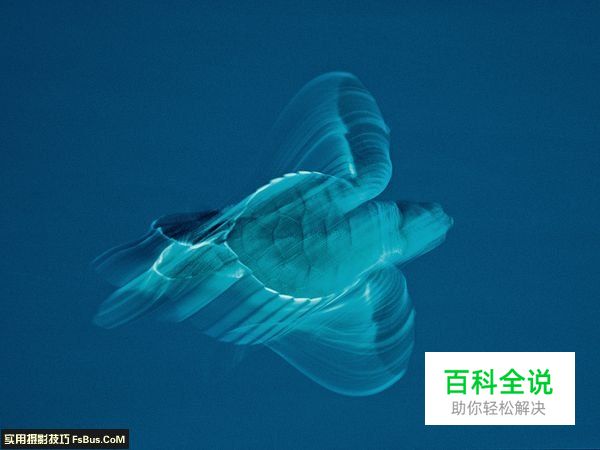 国家地理摄影师教你如何掌握曝光时间