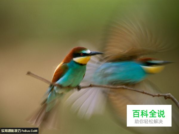 国家地理摄影师教你如何掌握曝光时间