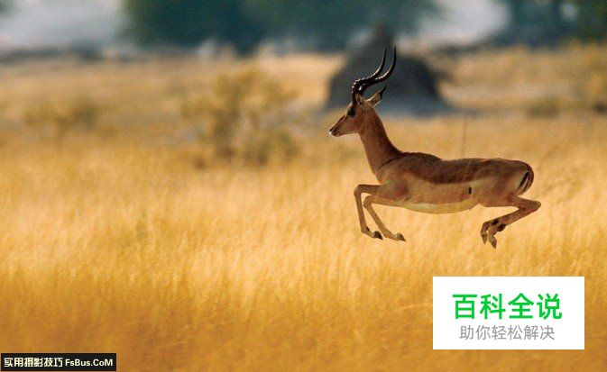 国家地理摄影师教你如何掌握曝光时间