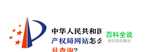 国家知识产权局网站如何输入专利号查询？