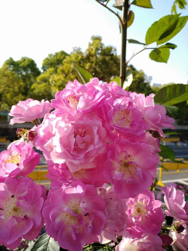 高考语文标点符号用法大全（标点符号常见易错点）