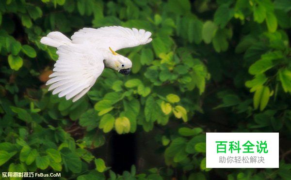 给摄影新手的6点建议