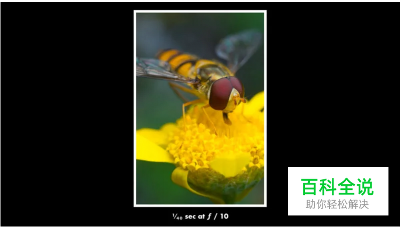 给微距摄影初学者的10条小建议