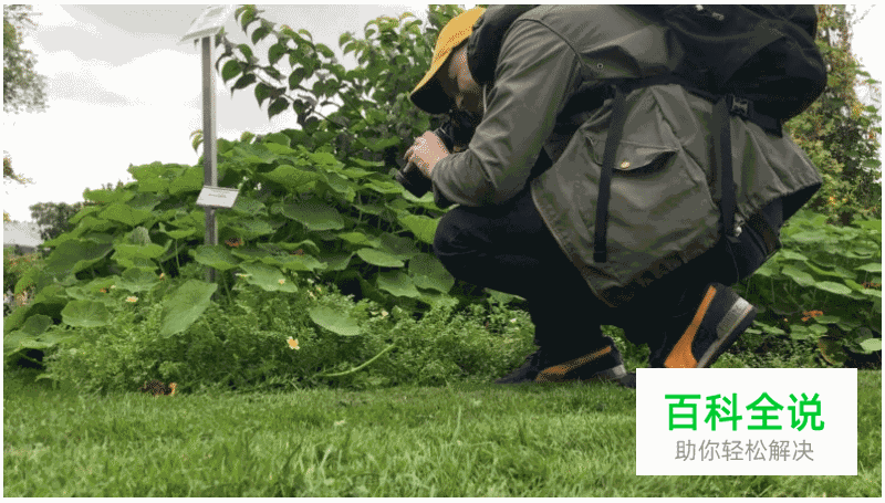 给微距摄影初学者的10条小建议