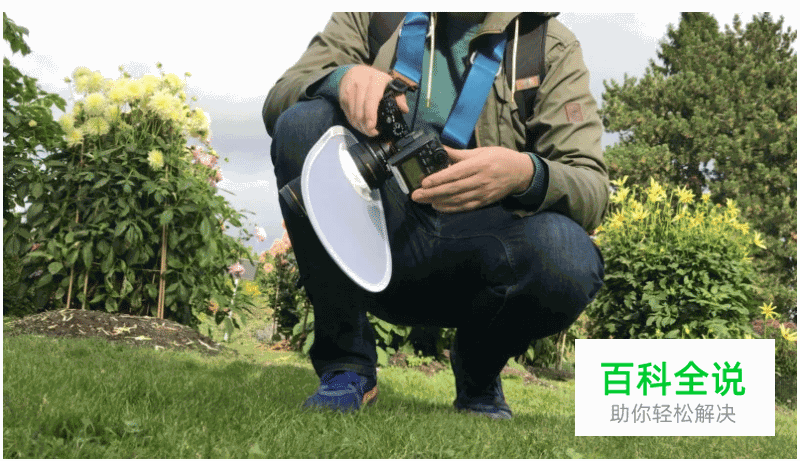 给微距摄影初学者的10条小建议