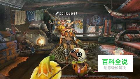 怪物猎人P3，怎样制作毒狗龙装？