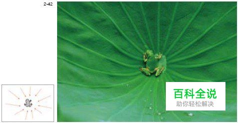 国外摄影师的摄影构图实例讲解