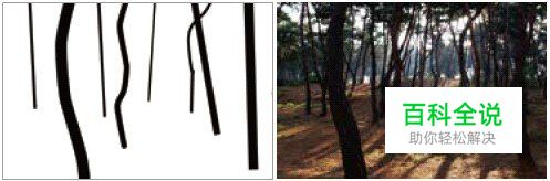 国外摄影师的摄影构图实例讲解