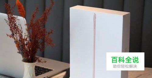 国行iPad Pro 9.7开箱图赏