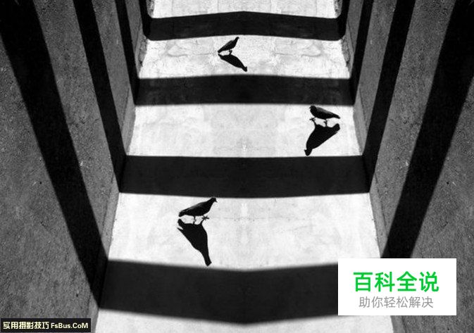 给新晋的摄影玩家的几个建议