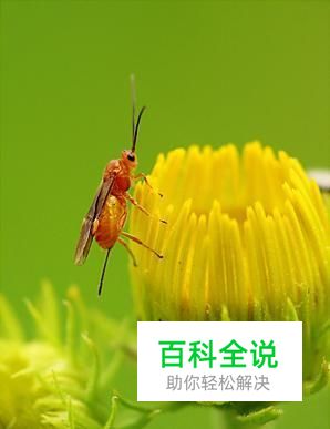 关于景深的基础知识