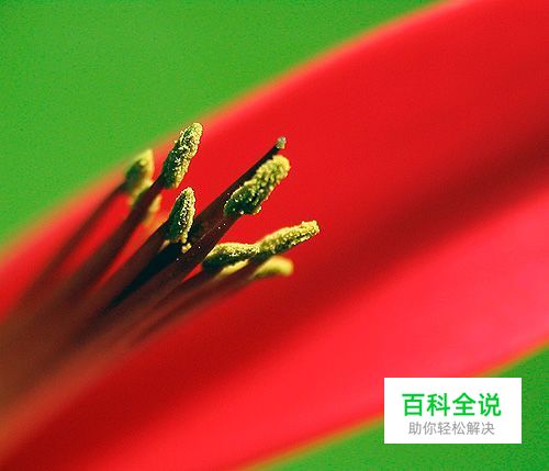 关于景深的基础知识