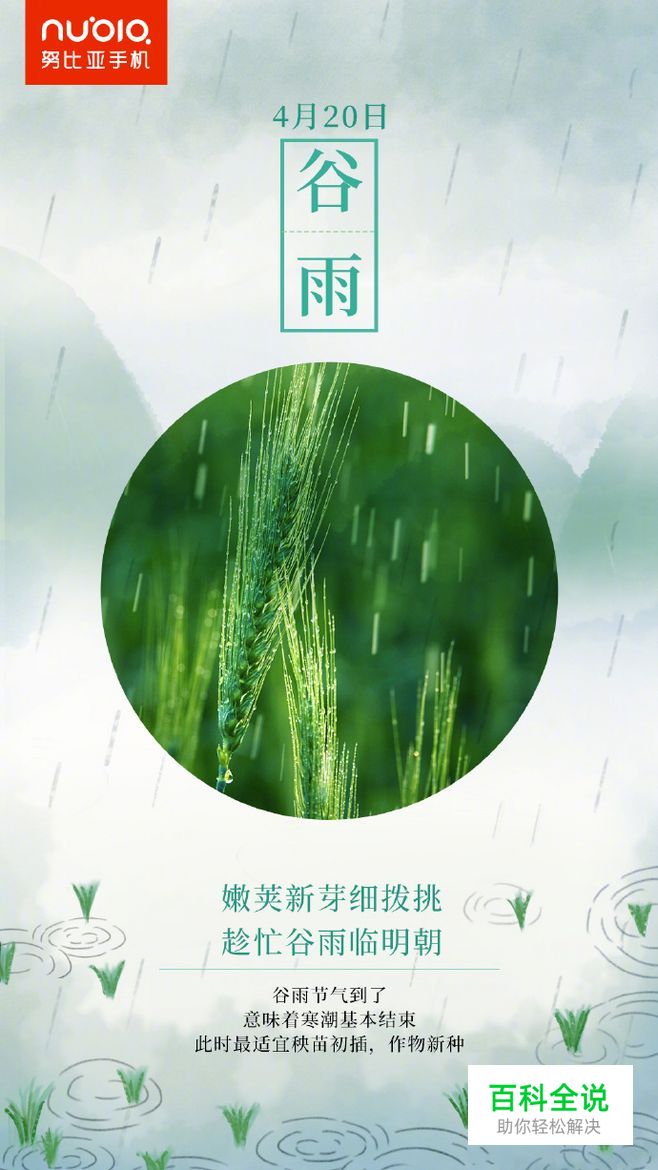 谷雨知夏至~