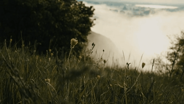 合并视频的软件（视频如何合并成一个）