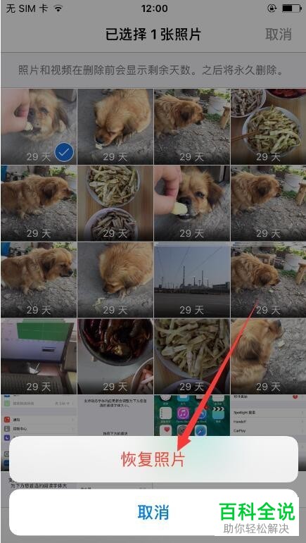 恢复iphone/苹果手机删除的照片的方法