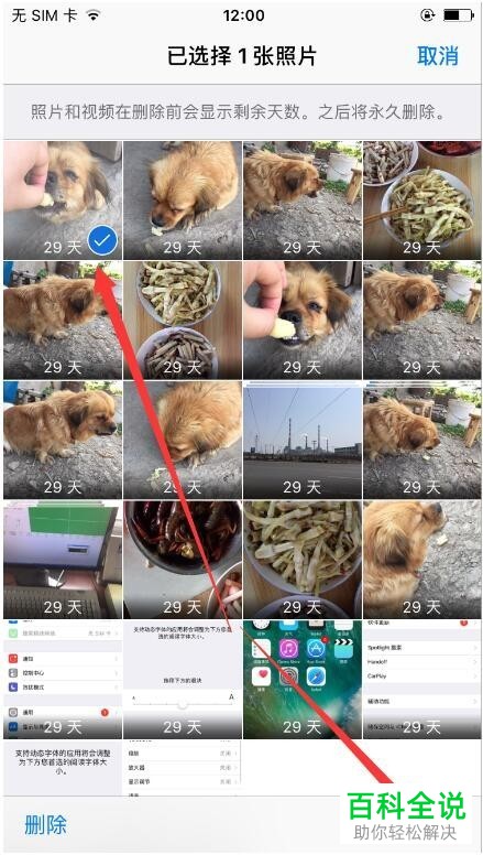恢复iphone/苹果手机删除的照片的方法