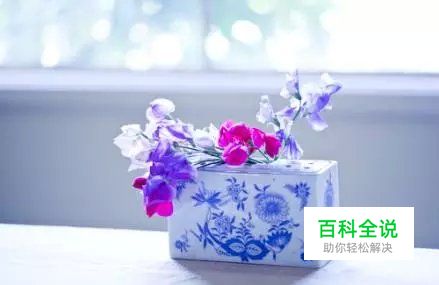 花卉摄影必知的6个攻略