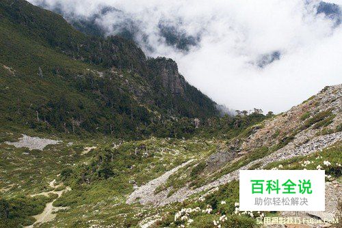 花卉摄影实用摄影技巧