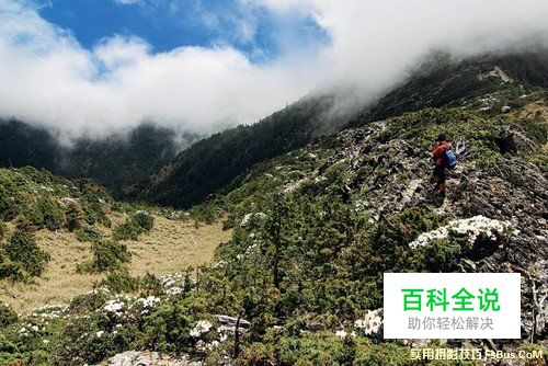 花卉摄影实用摄影技巧