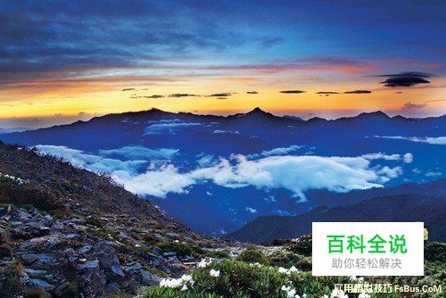 花卉摄影实用摄影技巧