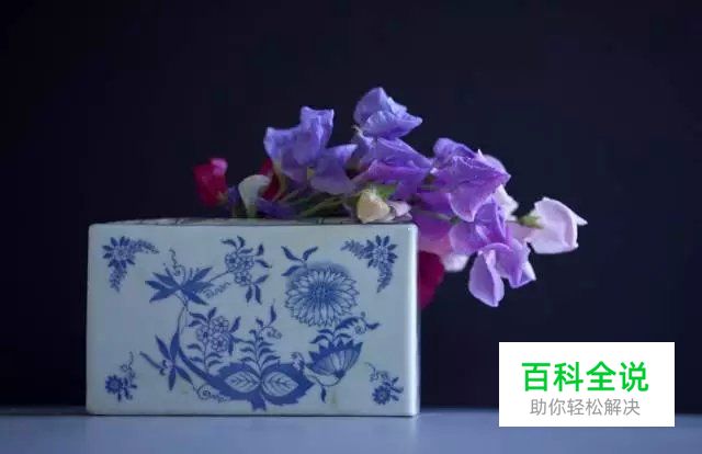 花卉摄影必知的6个攻略