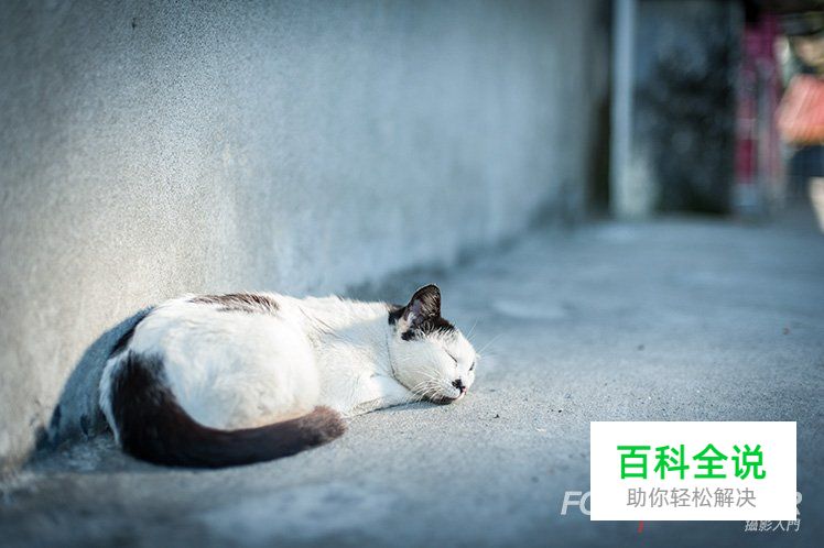 黄金3元素让你拍出更漂亮的相片