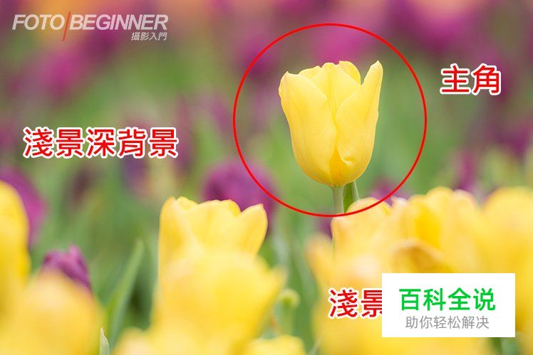 黄金3元素让你拍出更漂亮的相片