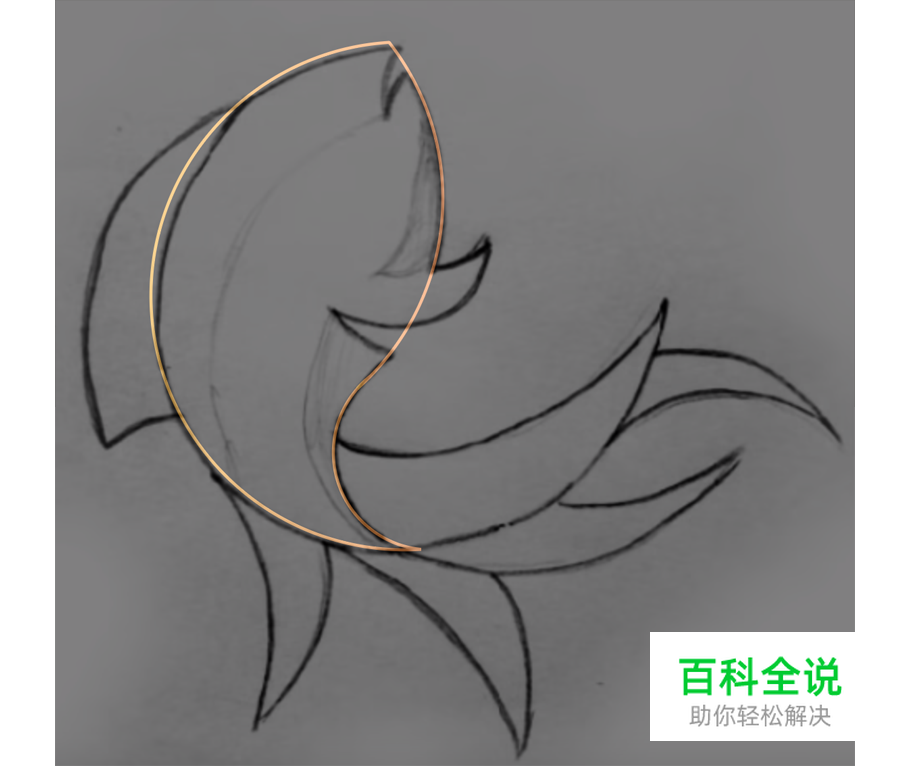 黄金比例Logo 【AI教程】