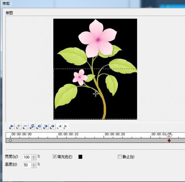 会声会影修剪滤镜效果的应用实例
