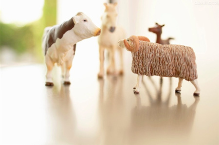 会声会影中什么是定格动画