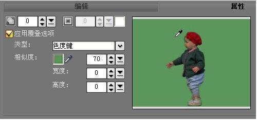 会声会影视频特效技巧