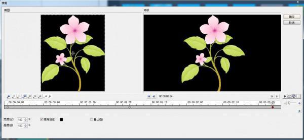 会声会影修剪滤镜效果的应用实例