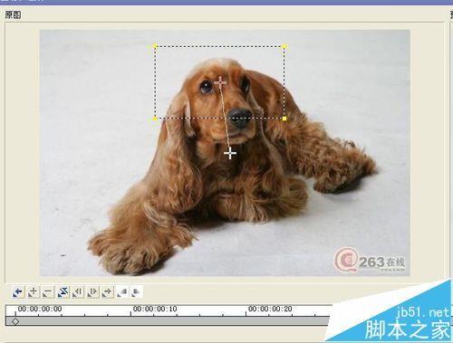会声会影怎么制作图片按轨道移动的动画?