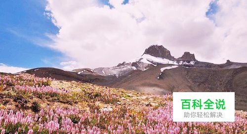 画图怎么调整图片大小