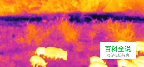 红外热成像仪效果图