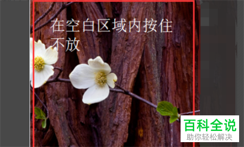 华为手机如何添加桌面小工具