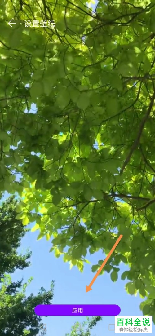 华为手机如何设置本地动态壁纸