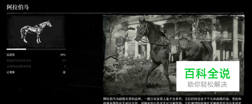 荒野大镖客2前期如何获得传说白马阿拉伯马