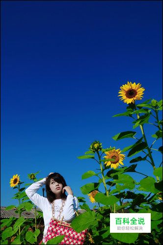 花漾少女人像拍摄攻略技巧