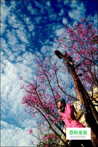 花漾少女人像拍摄攻略技巧