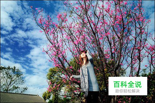 花漾少女人像拍摄攻略技巧