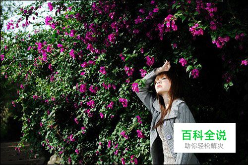 花漾少女人像拍摄攻略技巧