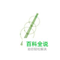 花支架十大品牌排行榜