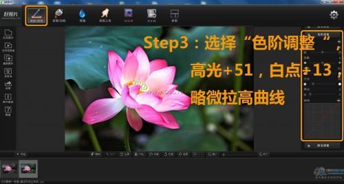 好照片后期处理让你的荷花别样红